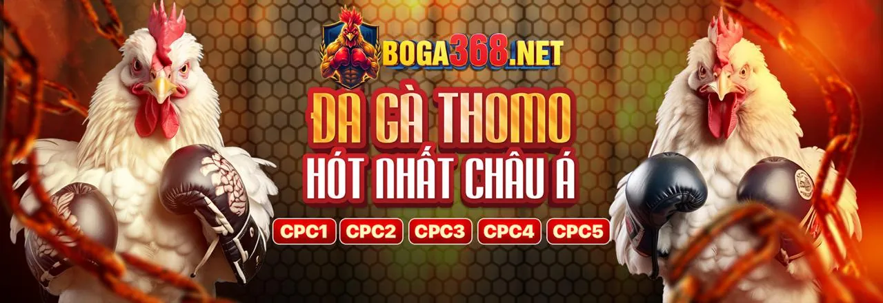 Hình ảnh chính của Blog zx88n với chủ đề cá cược trực tuyến